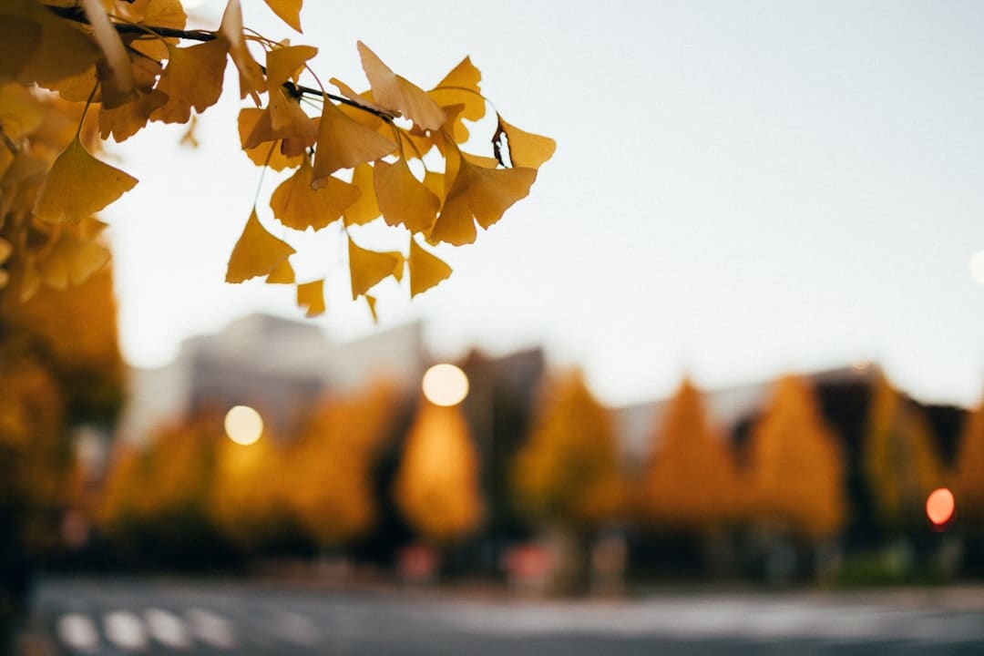 五粮液是什么梗